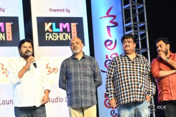 Nela Ticket Movie Audio Launch Photos